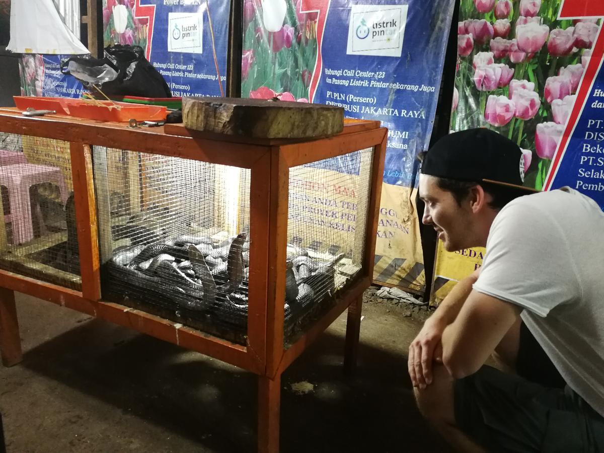 ג'קרטה Sleepy Raccoon Hostel מראה חיצוני תמונה